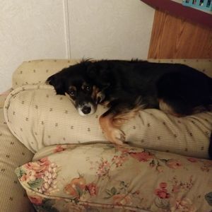 Meet your Posher, Kay